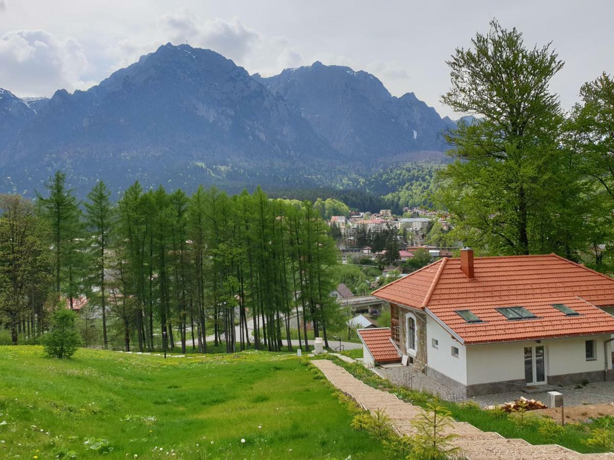 Castelul Cantacuzino Busteni Exterior photo