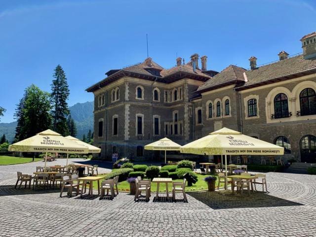 Castelul Cantacuzino Busteni Exterior photo
